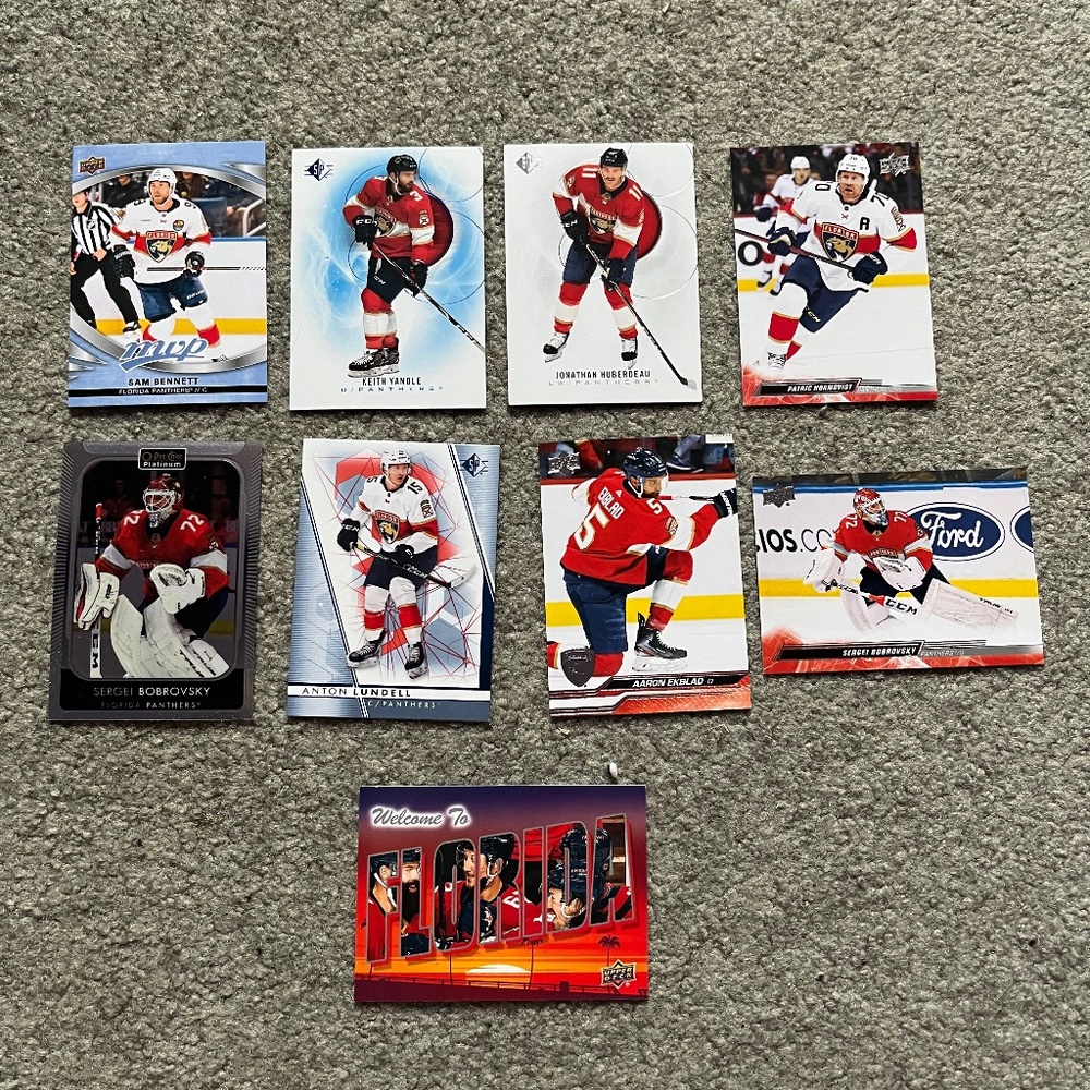 Variety of Florida Panthers NHL Trading Cards